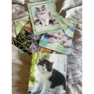 Vintage Y2K Class Act Keith Kimberlin School Binder & 6 Kitten Folders Retro